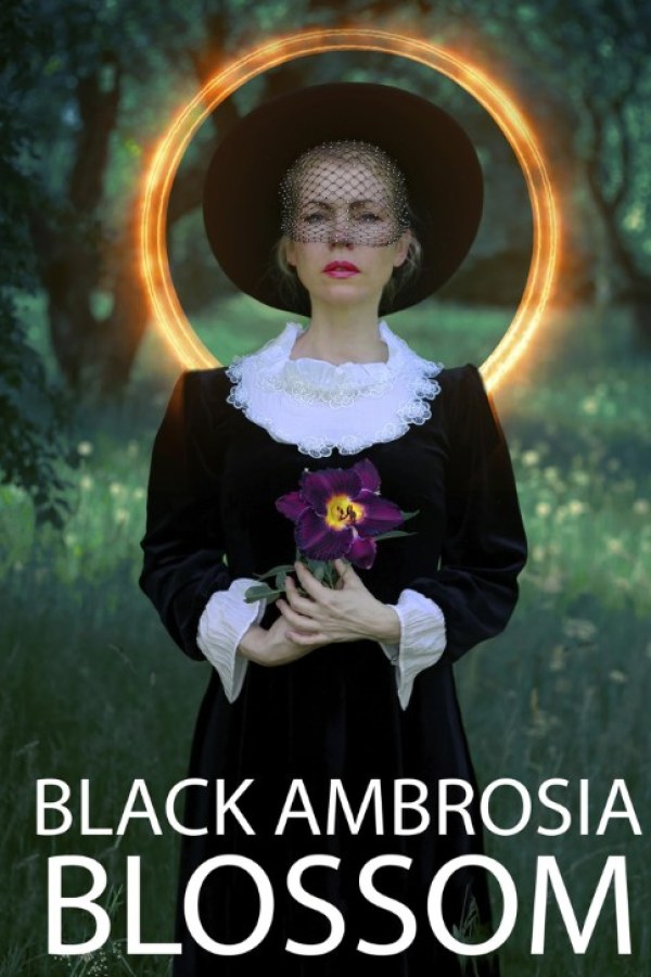 🎬 Black Ambrosia Blossom